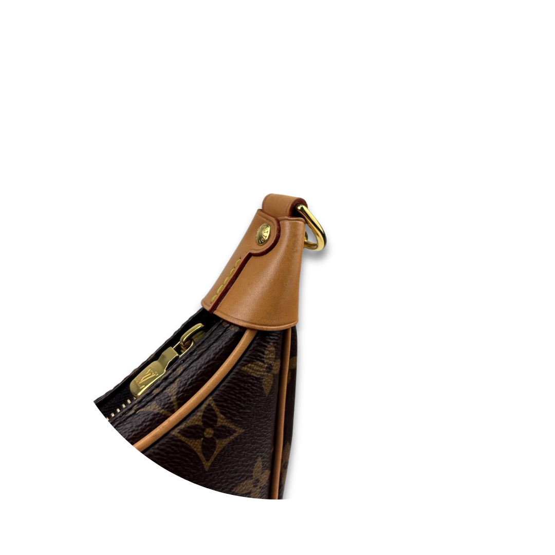 Louis Vuitton Monogram Loop Bag