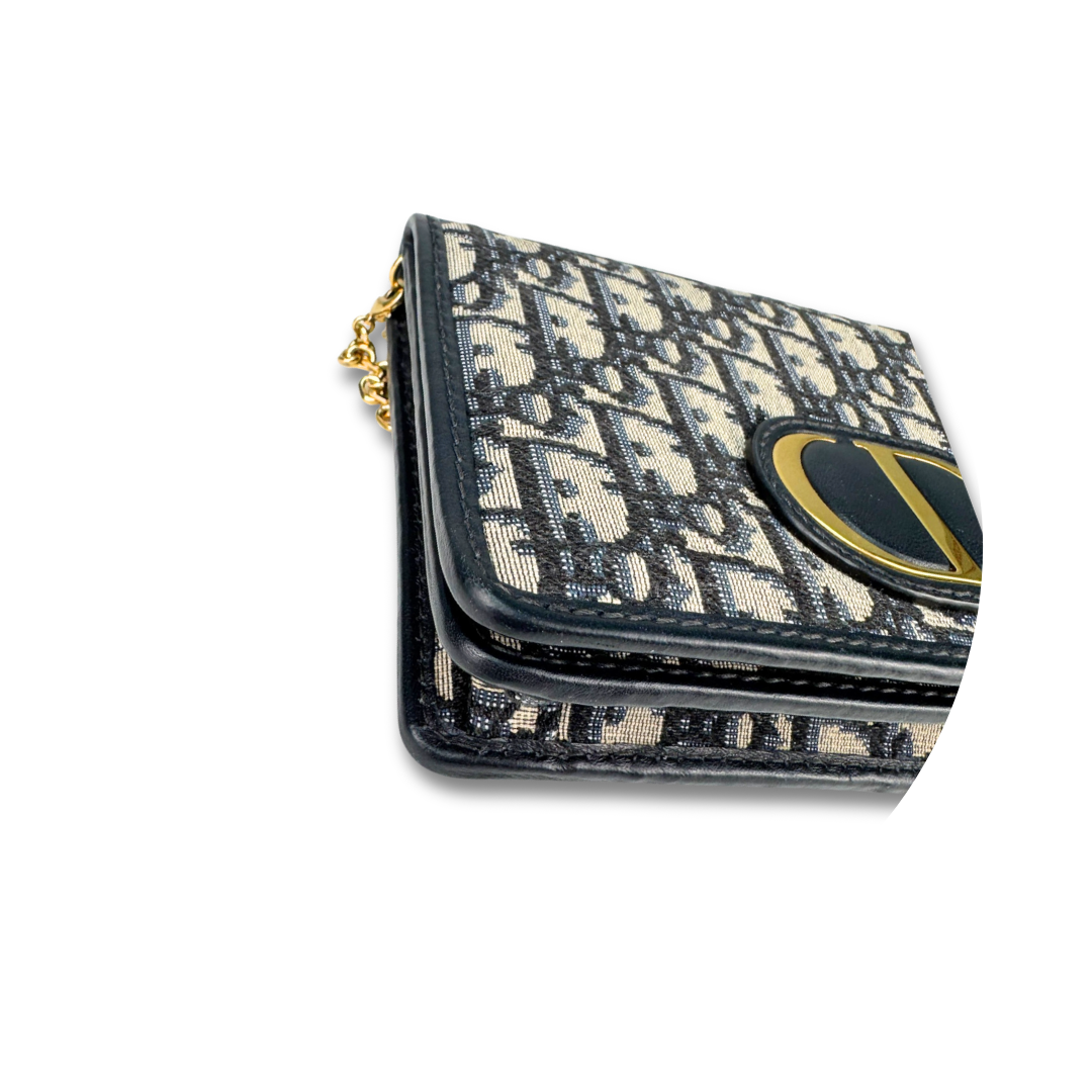 Dior Canvas 30 Montaigne Pouch