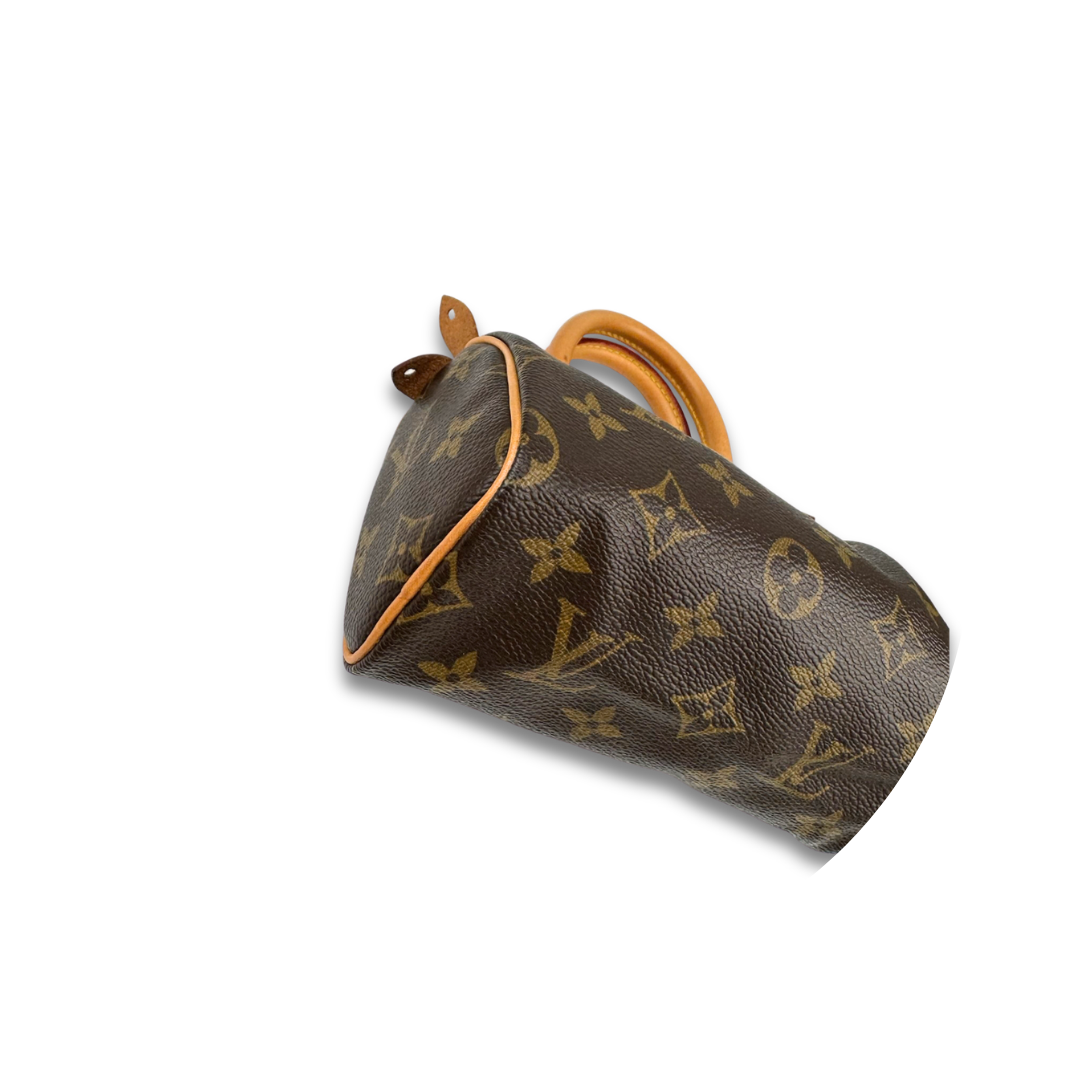 Louis Vuitton Monogram Speedy Mini HL