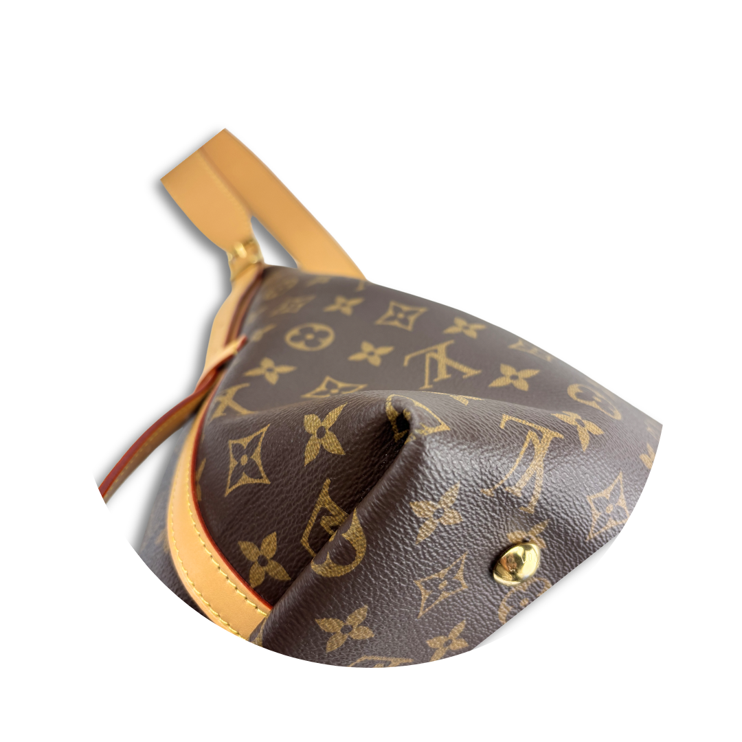 Louis Vuitton Monogram Carryall MM