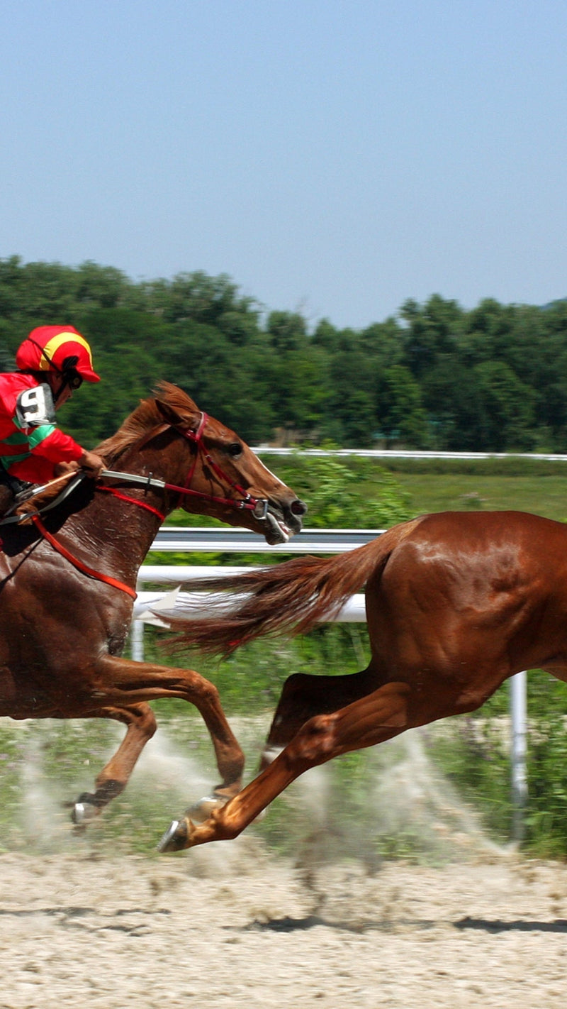 The Best Designer Bags to Bring to Opening Day at Saratoga Race Course