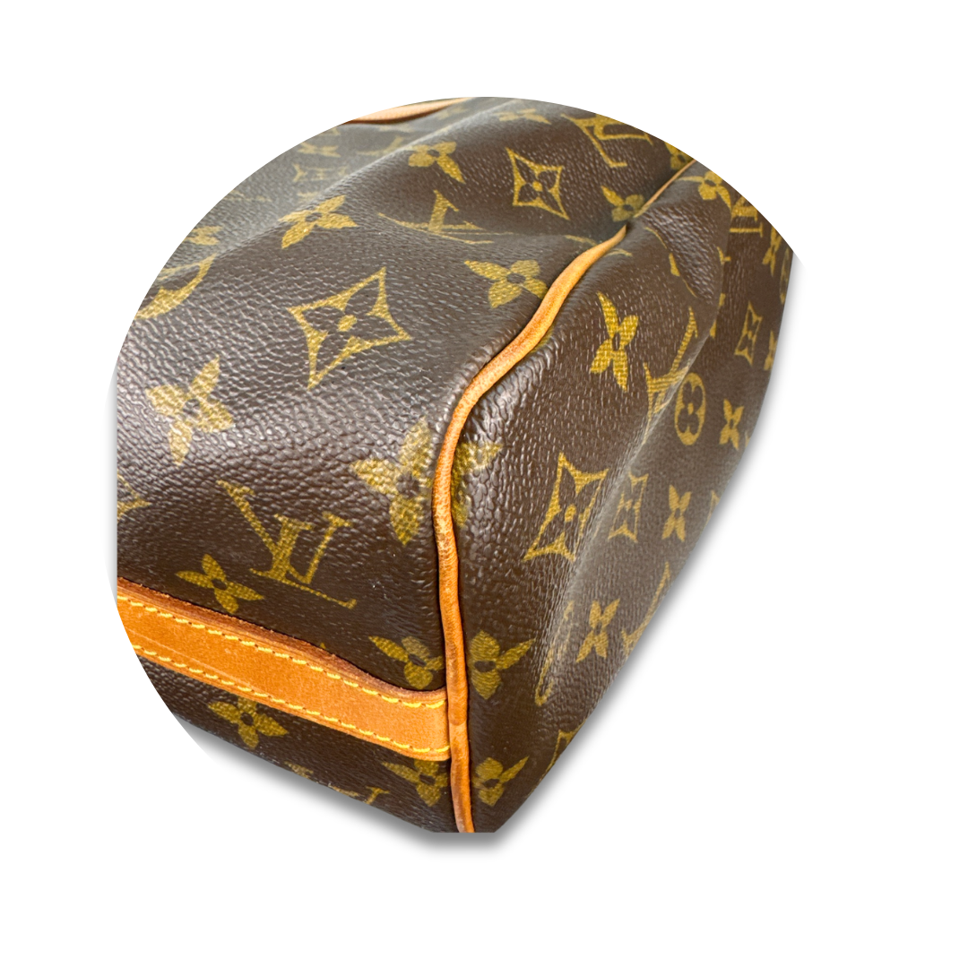 Louis Vuitton Monogram Flanerie 45
