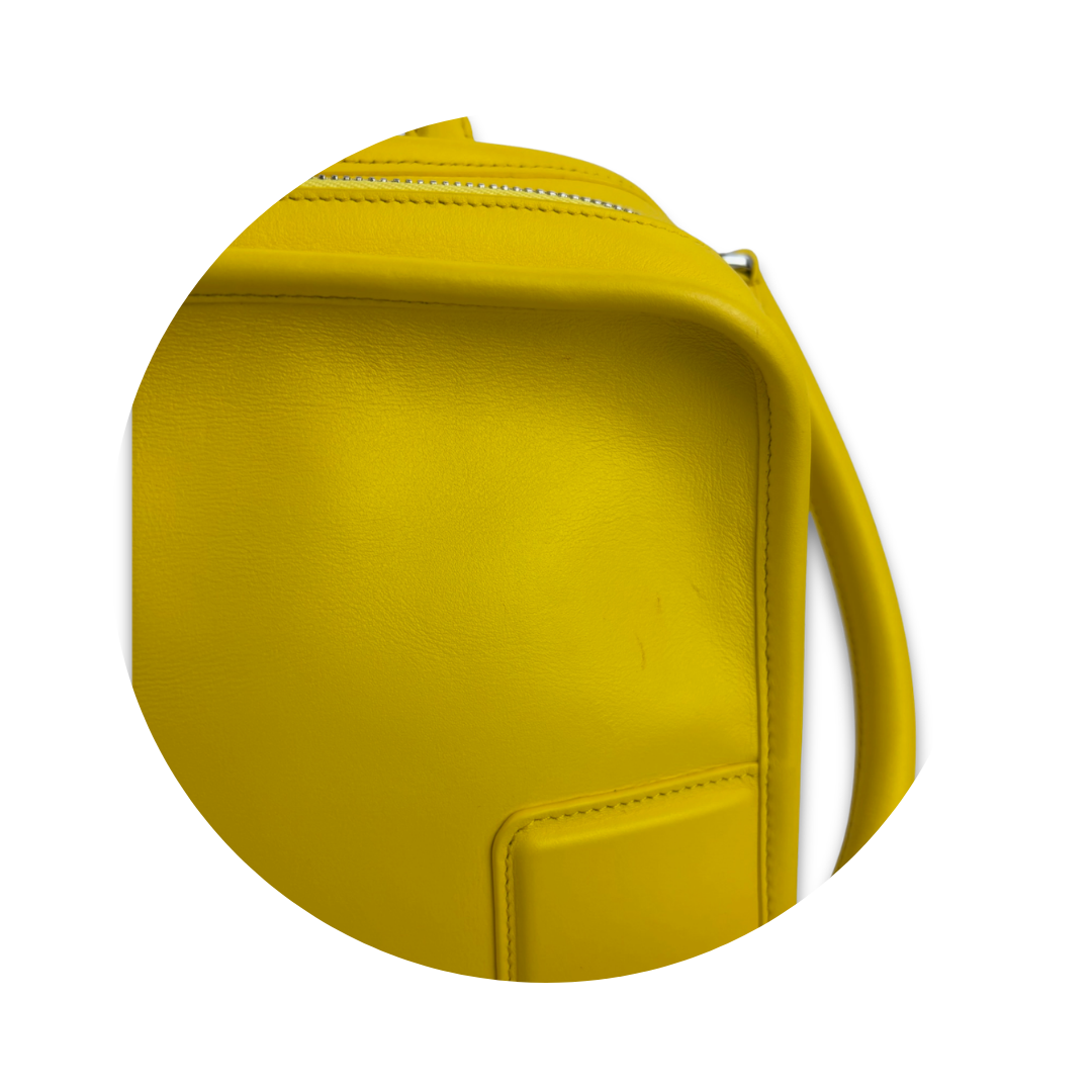 Loewe Yellow Small Amazona 180