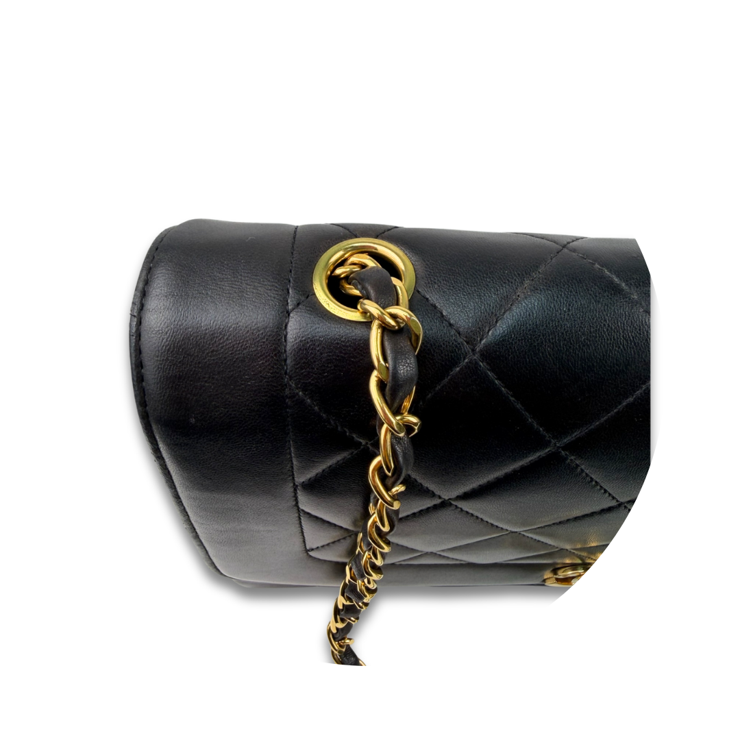 Chanel Medium Lambskin Diana Single Flap