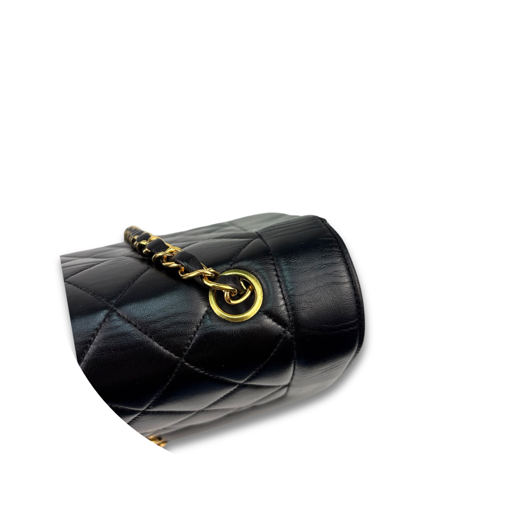 Chanel Small Lambskin Diana Single Flap