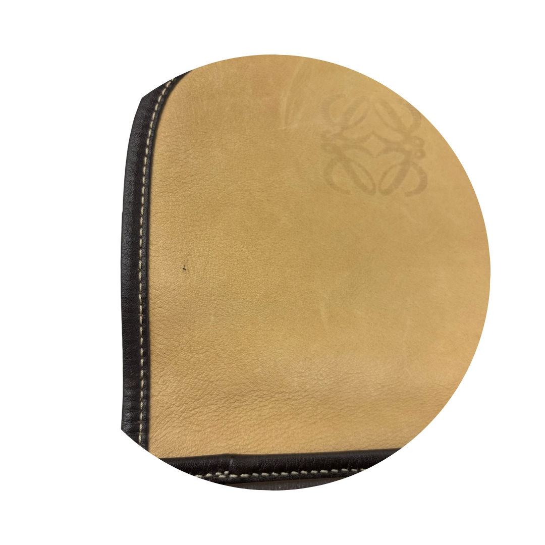 Loewe Suede Anagram Pouch on Strap
