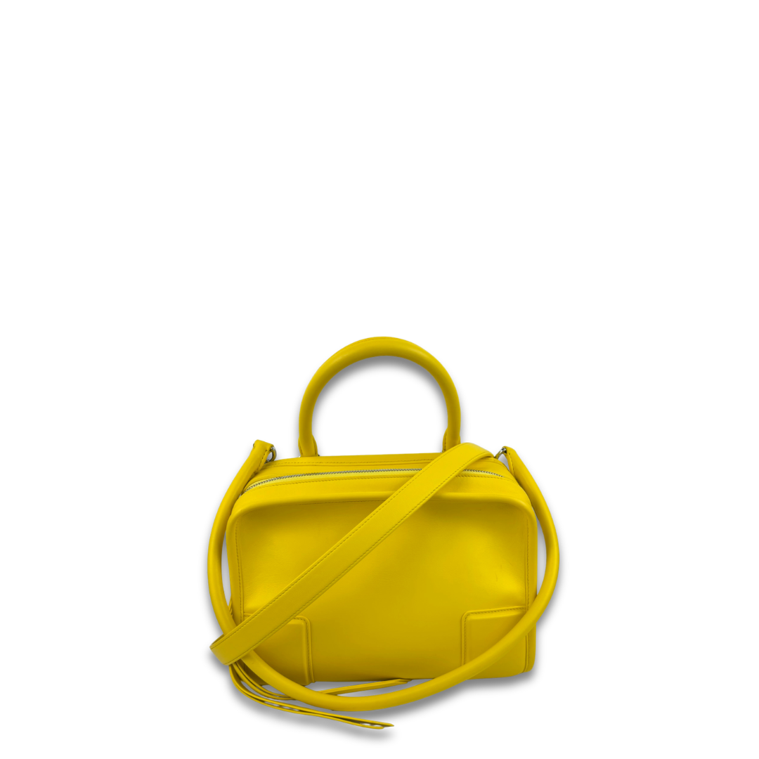 Loewe Yellow Small Amazona 180