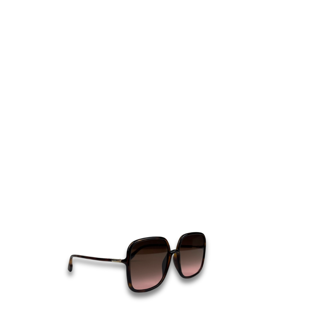 Dior Brown Oversized Square Sunglasses