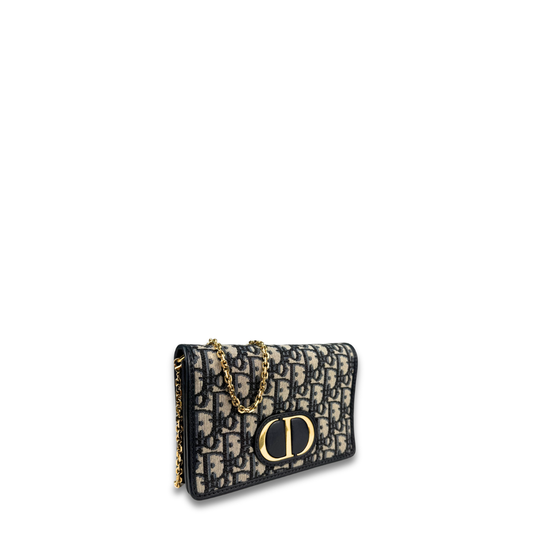 Dior Canvas 30 Montaigne Pouch