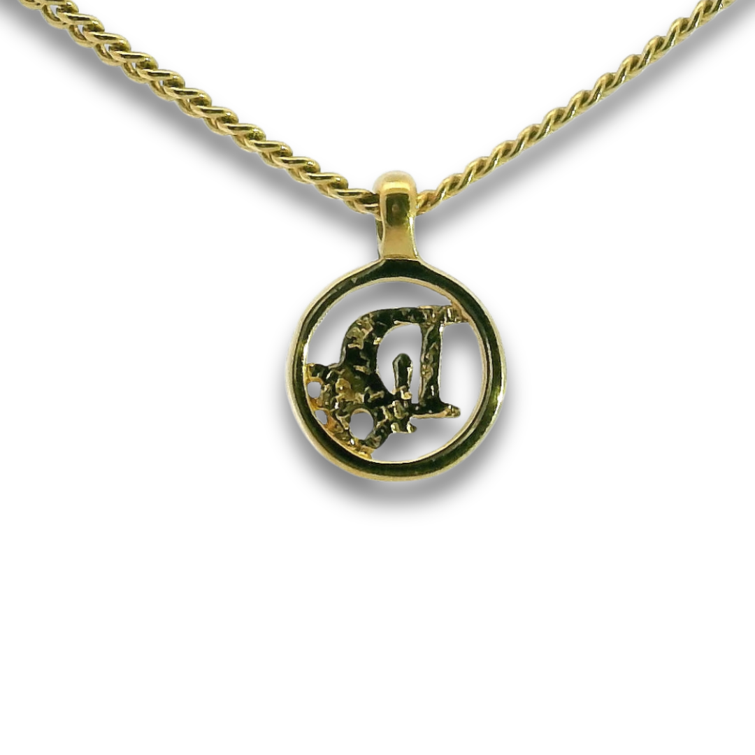 Dior Gold Circle CD Necklace