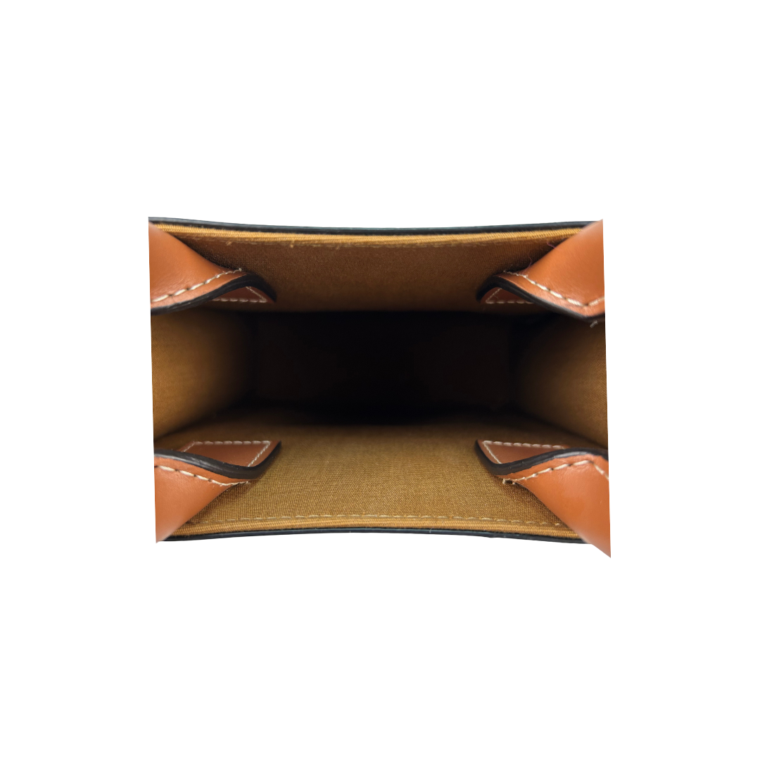 Celine Triomphe Canvas Mini Vertical Cabas