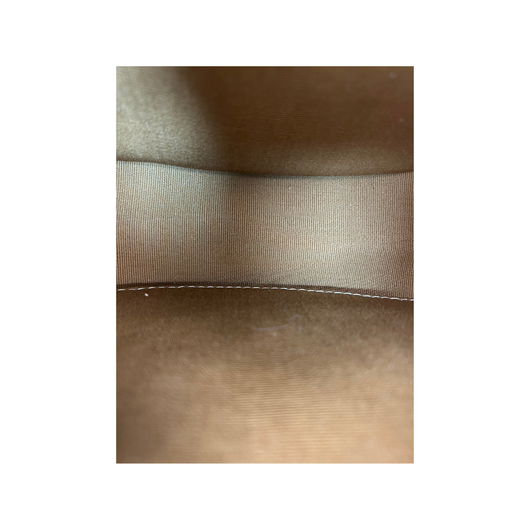 Celine Brown Triomphe Ava Bag