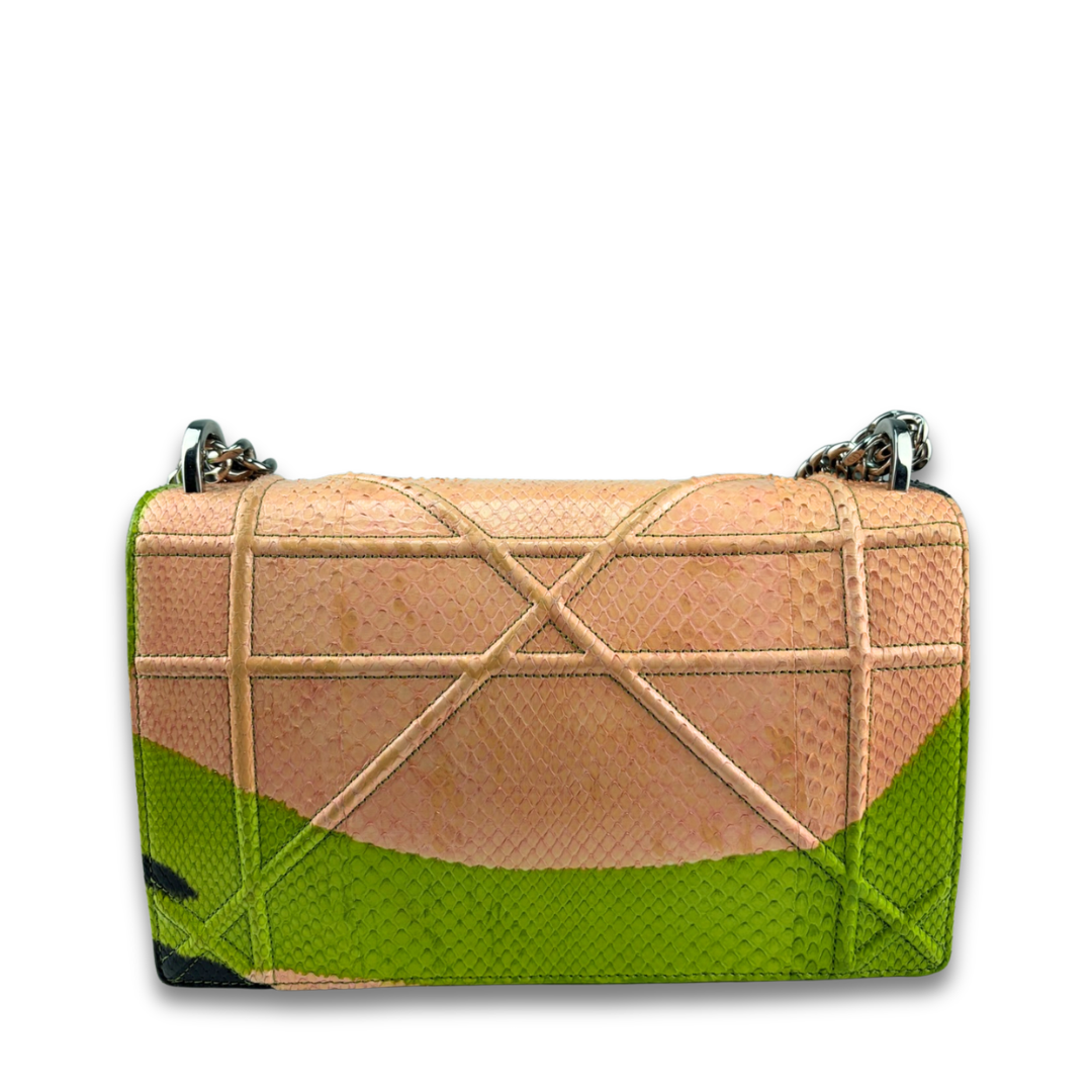 Dior Multicolor Python Cannage Diorama