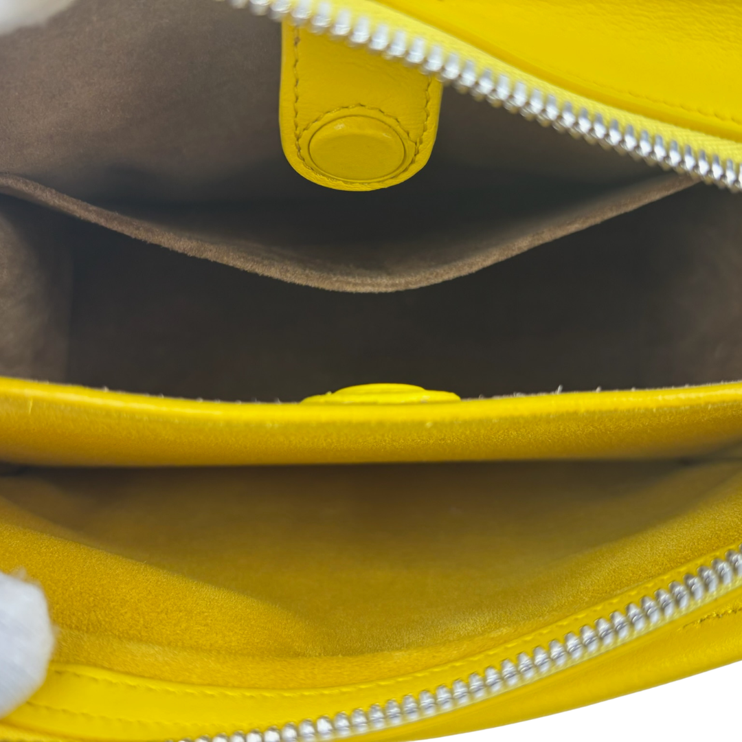 Loewe Yellow Small Amazona 180