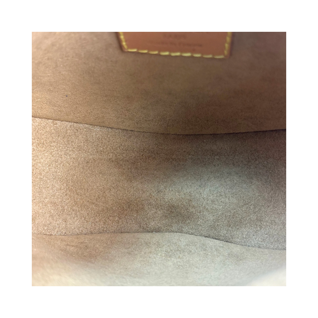 Louis Vuitton Monogram Loop Bag