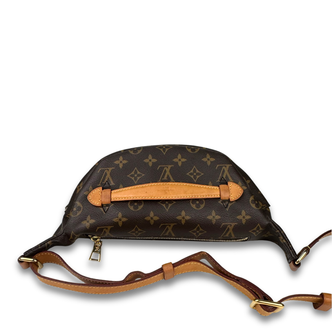 Louis Vuitton Monogram OG Bum Bag