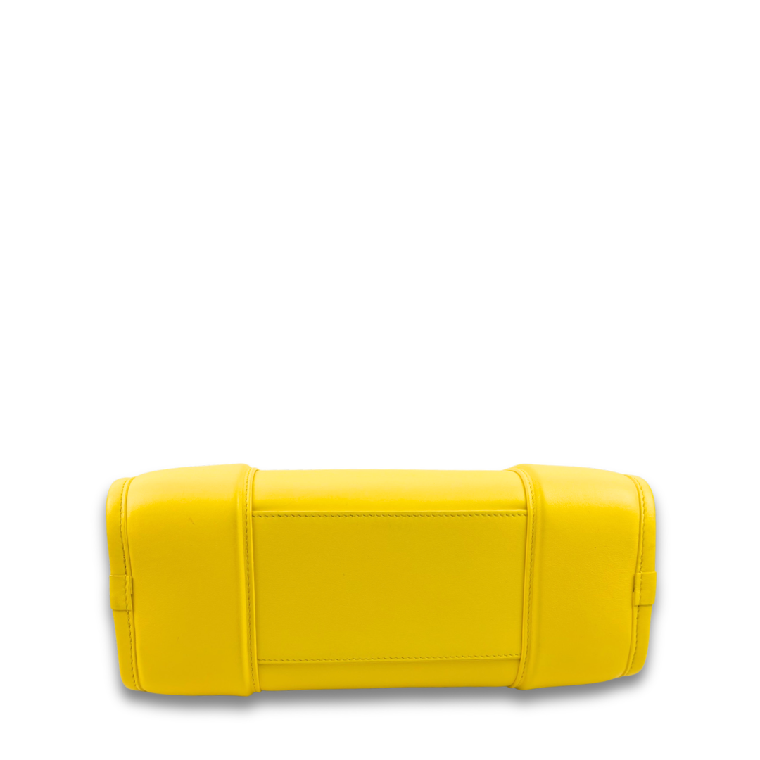 Loewe Yellow Small Amazona 180