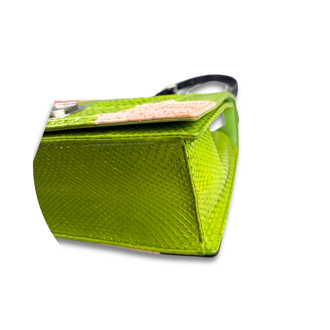 Dior Multicolor Python Cannage Diorama