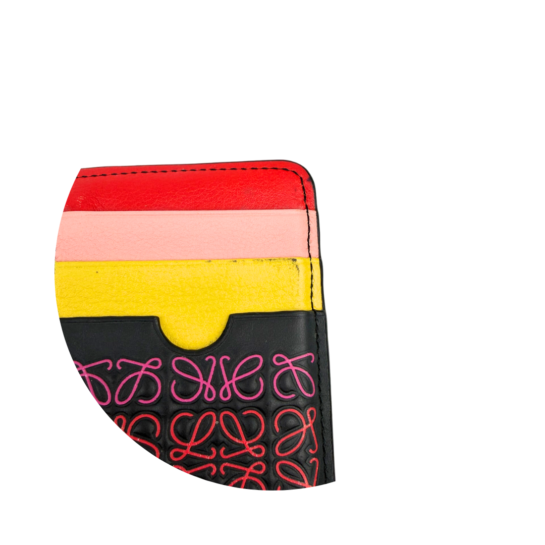 Loewe Multicolor Anagram Card Case