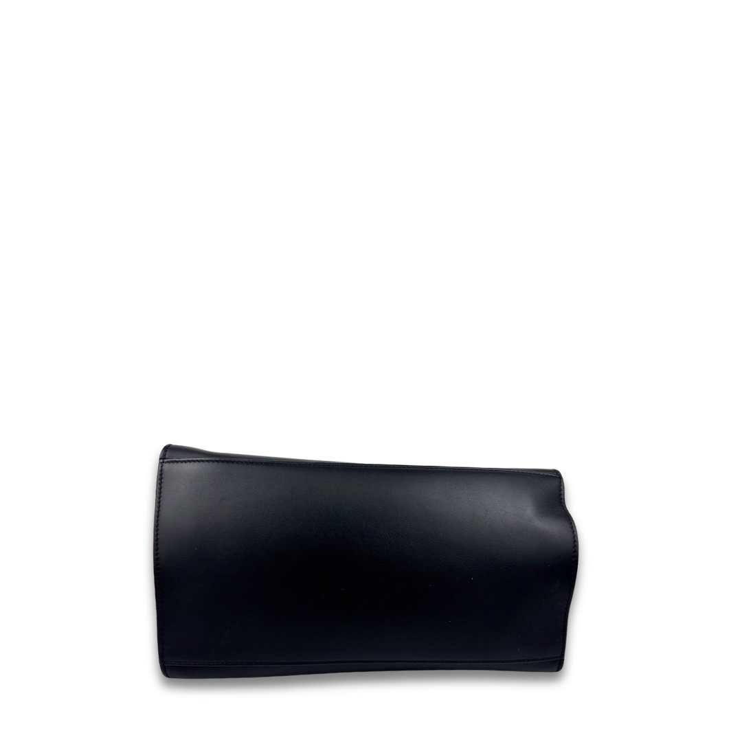 Celine Tricolor Pony Hair Trapeze Bag
