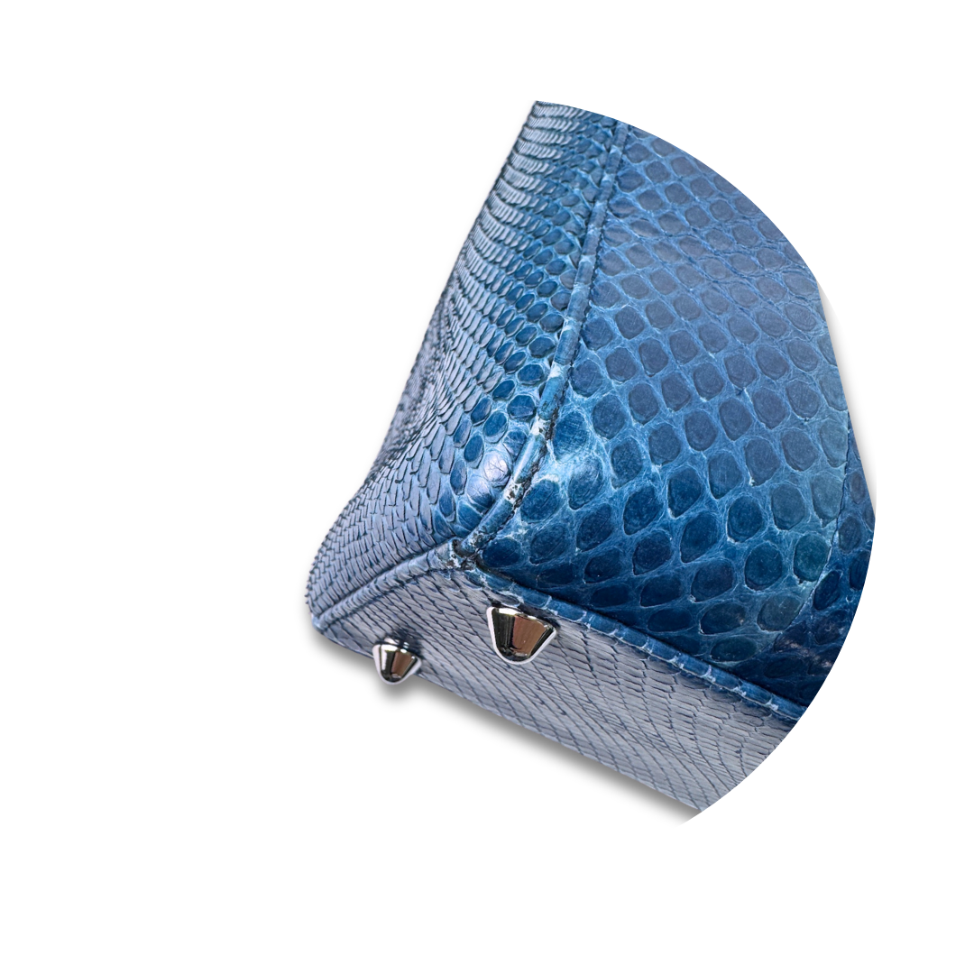 Dior Large Python Lady Dior
