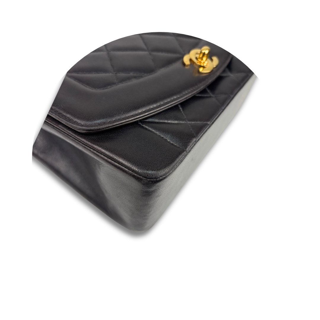 Chanel Brown Lambskin Small Diana Single Flap