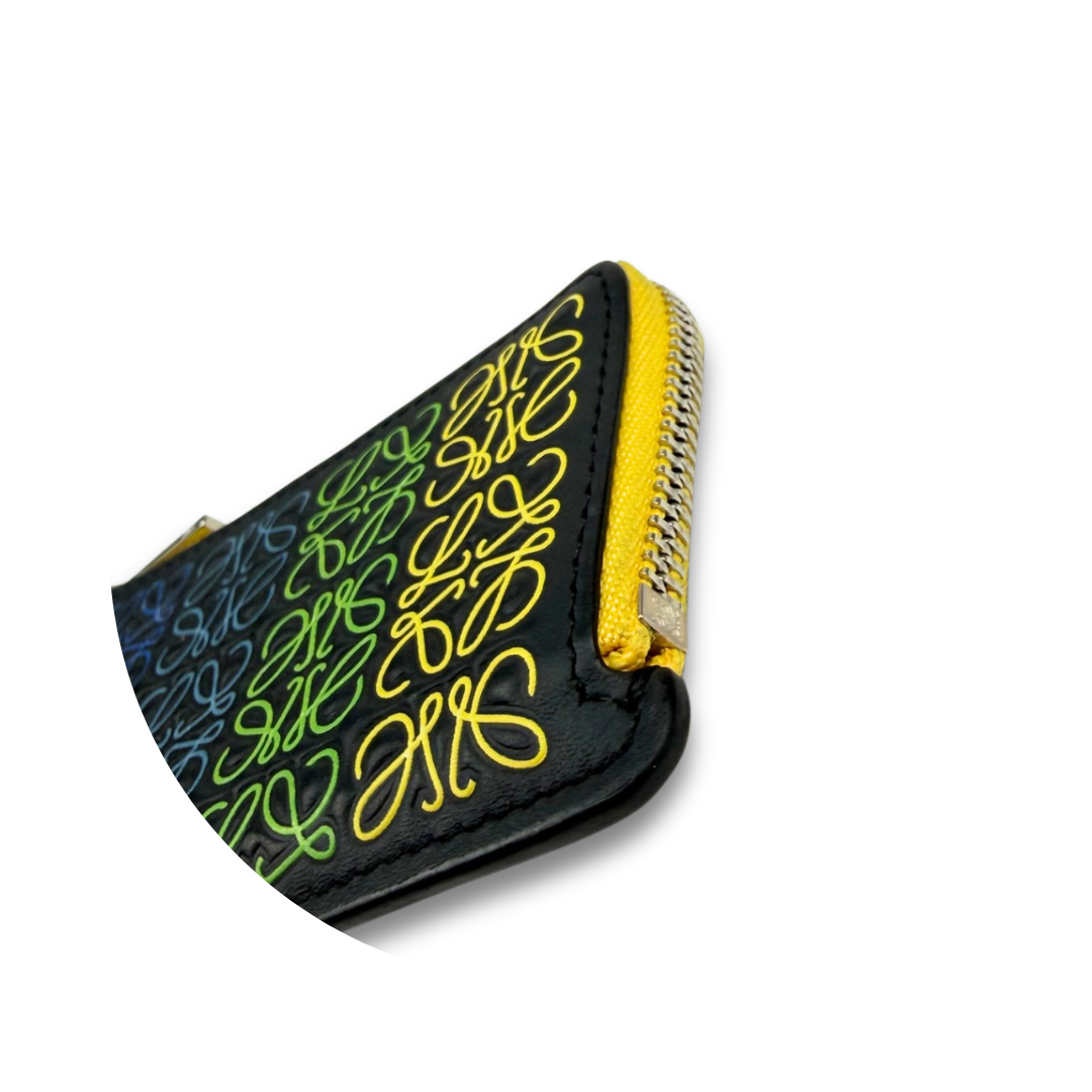 Loewe Multicolor Anagram Card Case