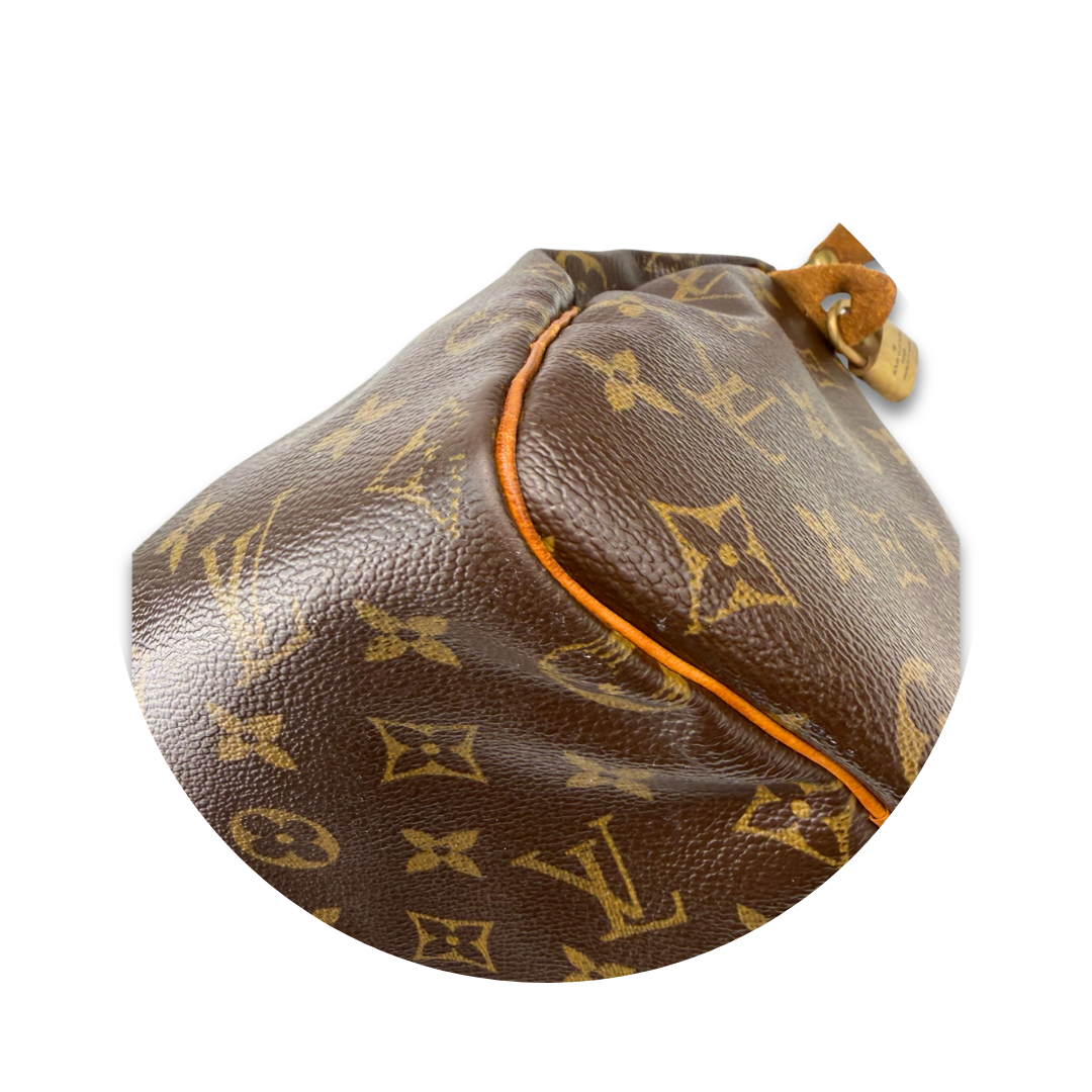 Louis Vuitton Monogram Speedy 25