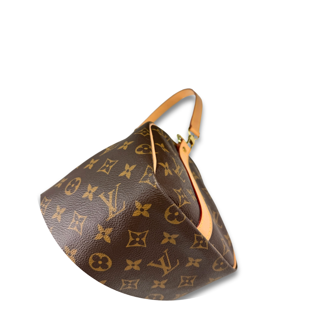 Louis Vuitton Monogram Speedy 25 Bandoulière
