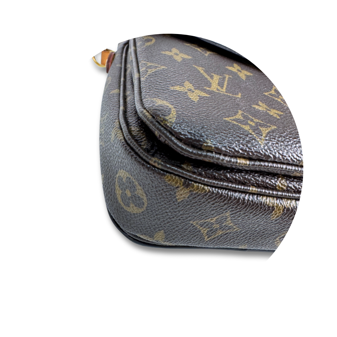 Louis Vuitton Monogram Pochette Métis