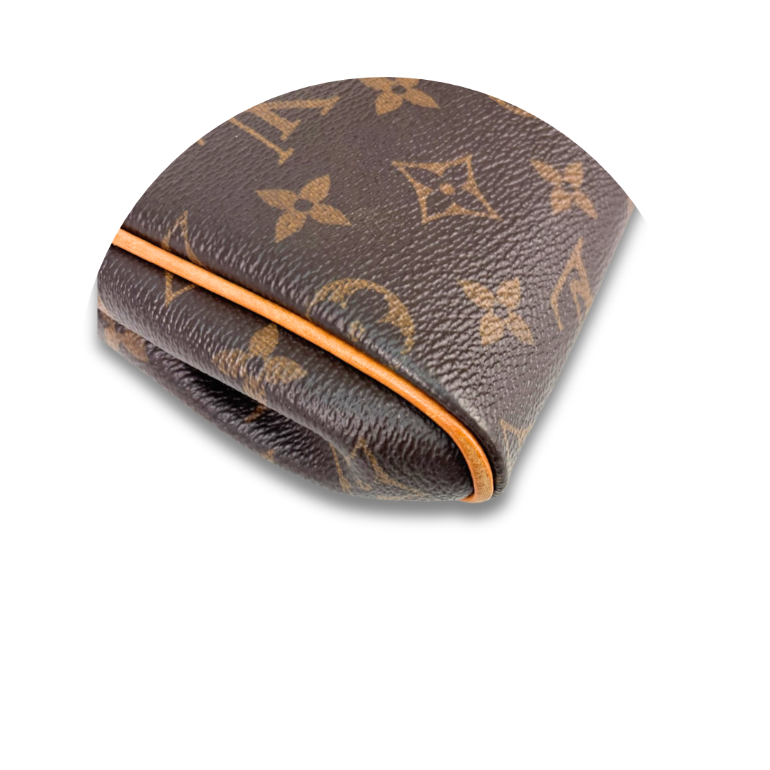 Louis Vuitton Monogram Eva Crossbody