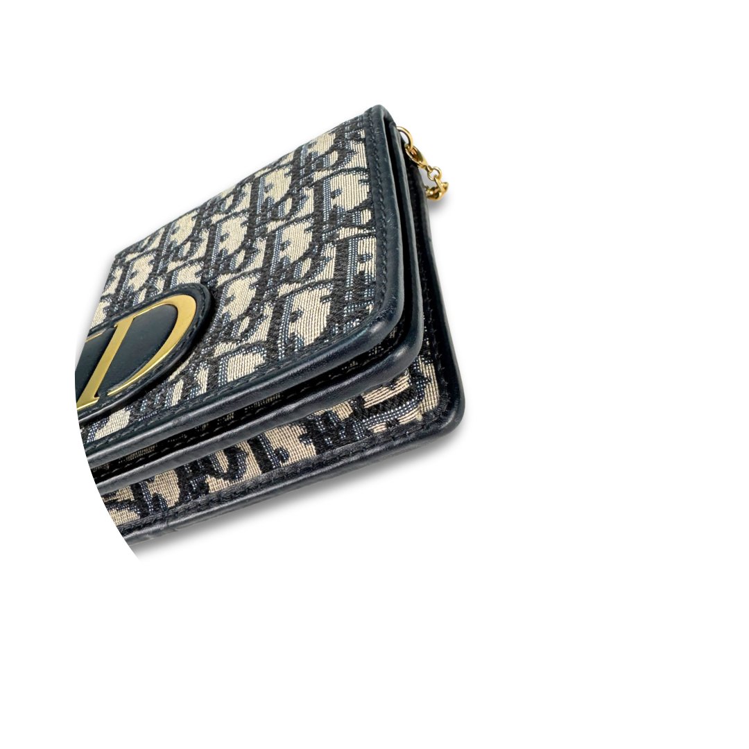 Dior Canvas 30 Montaigne Pouch