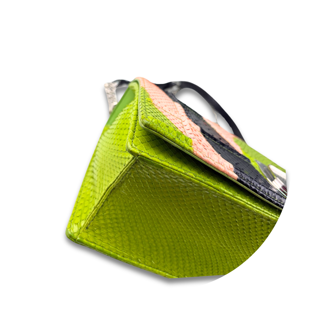 Dior Multicolor Python Cannage Diorama