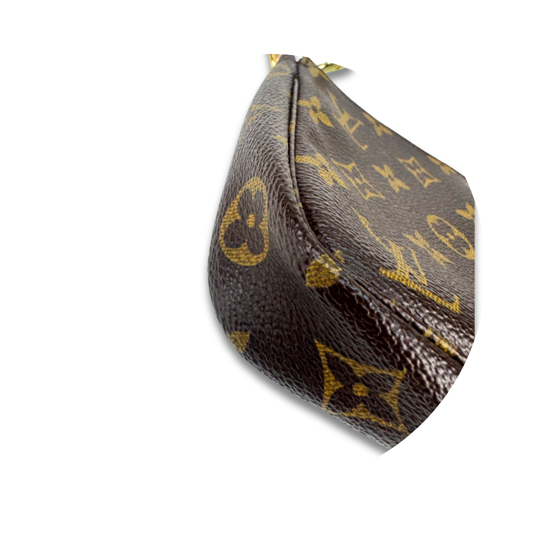Louis Vuitton Monogram Pochette Accessoires