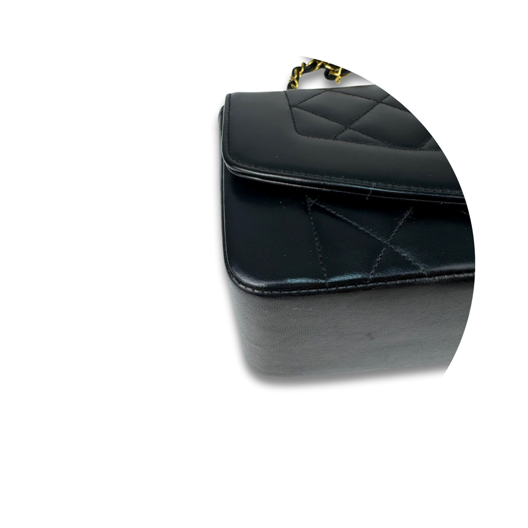 Chanel Lambskin Small Diana Single Flap