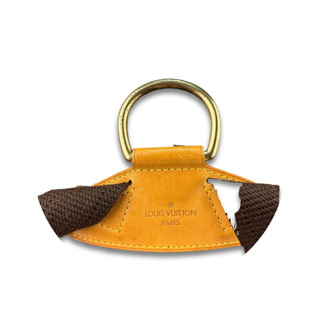 Louis Vuitton Monogram Montsouris GM