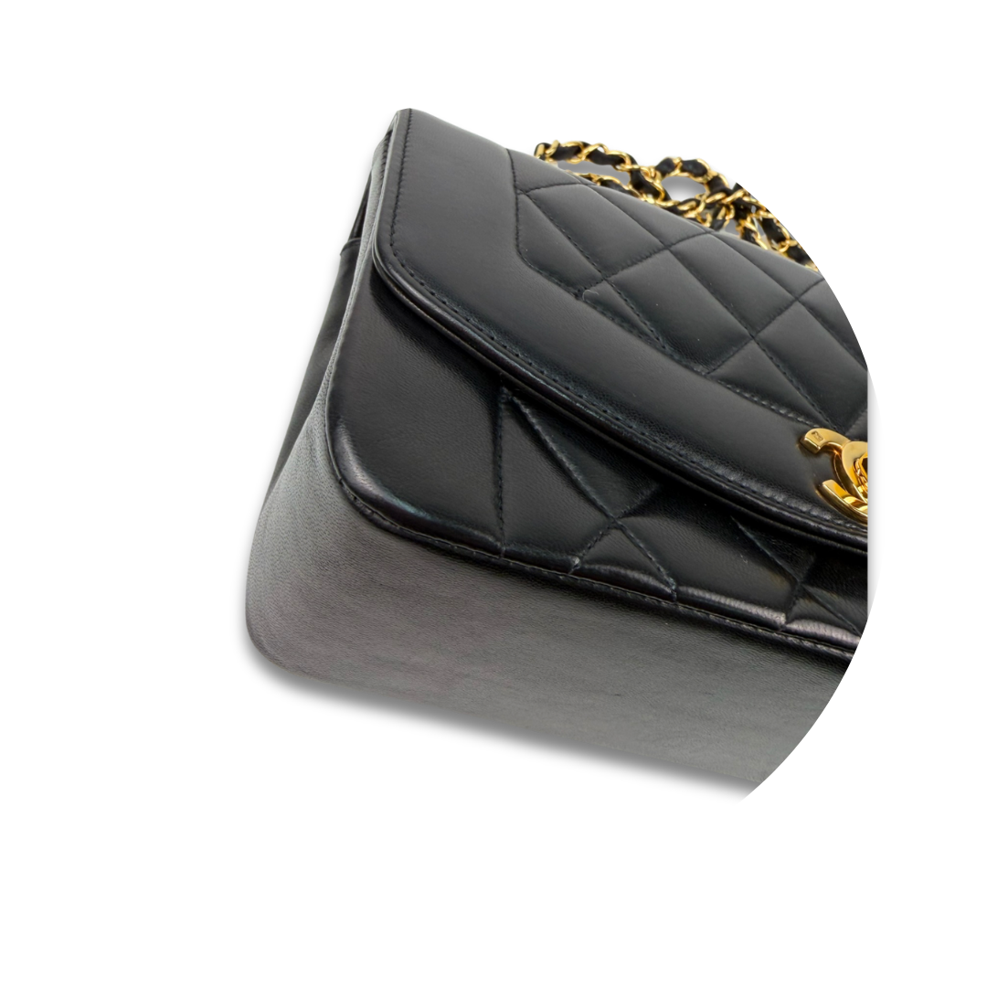 Chanel Lambskin Small Diana Single Flap