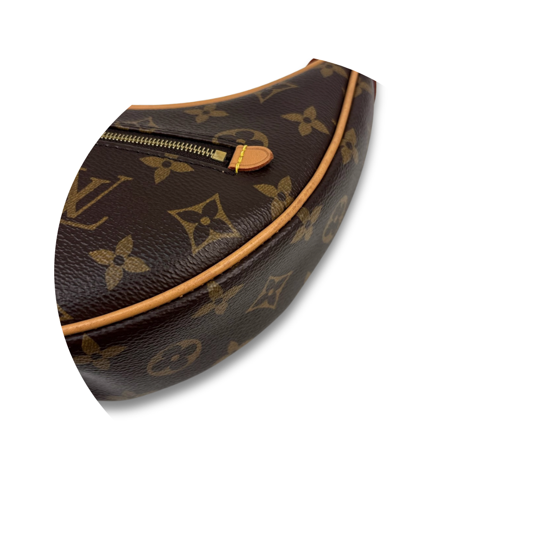 Louis Vuitton Monogram Loop Bag