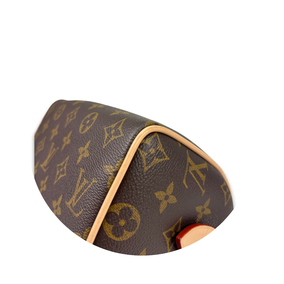 Louis Vuitton Monogram Speedy 20 Bandoulière
