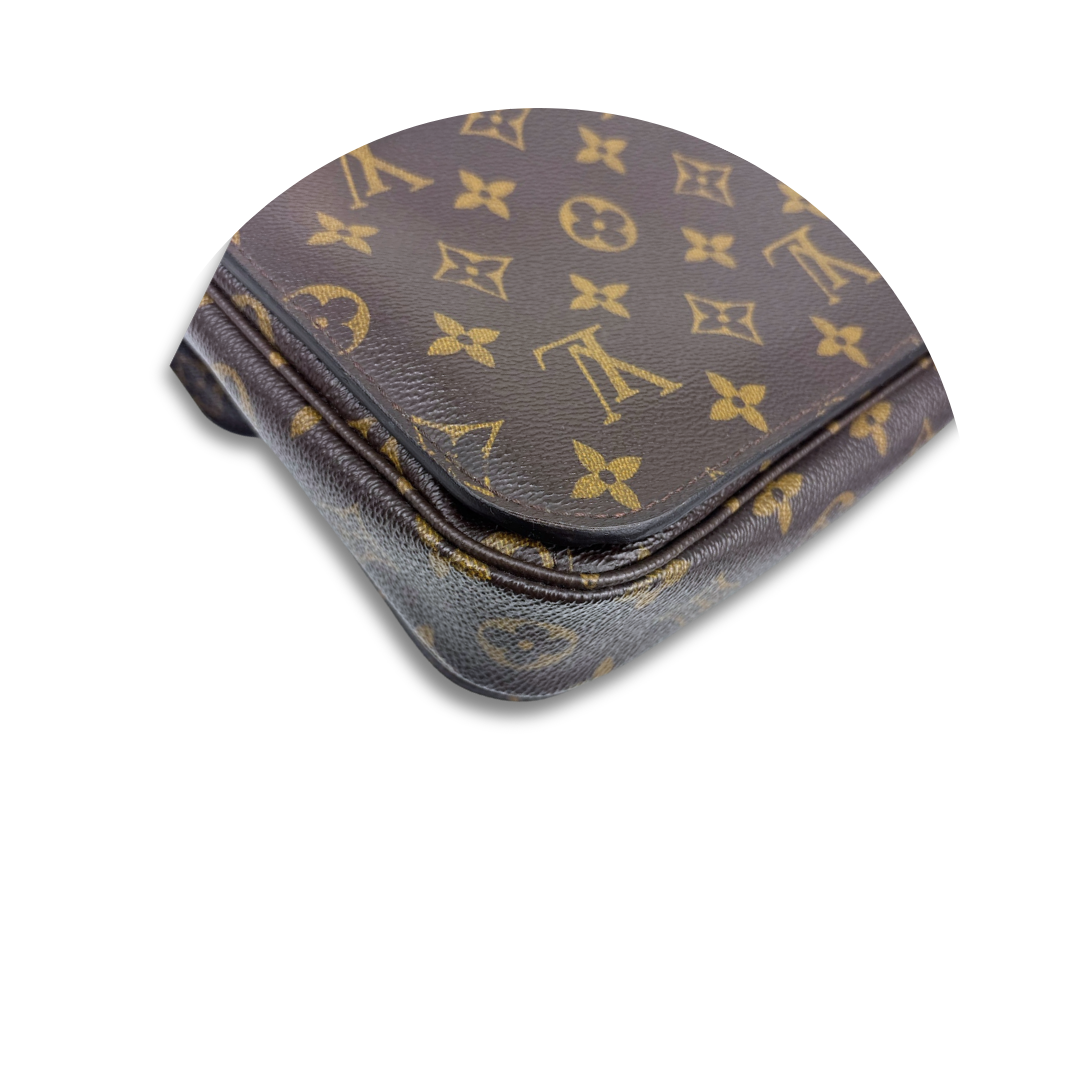 Louis Vuitton Monogram Pochette Métis