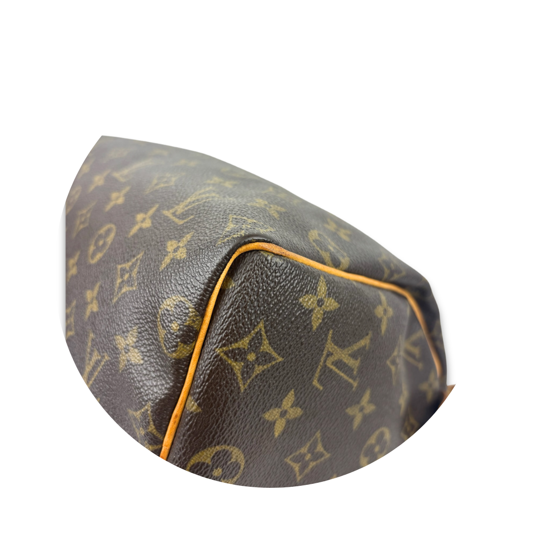 Louis Vuitton Monogram Speedy 25
