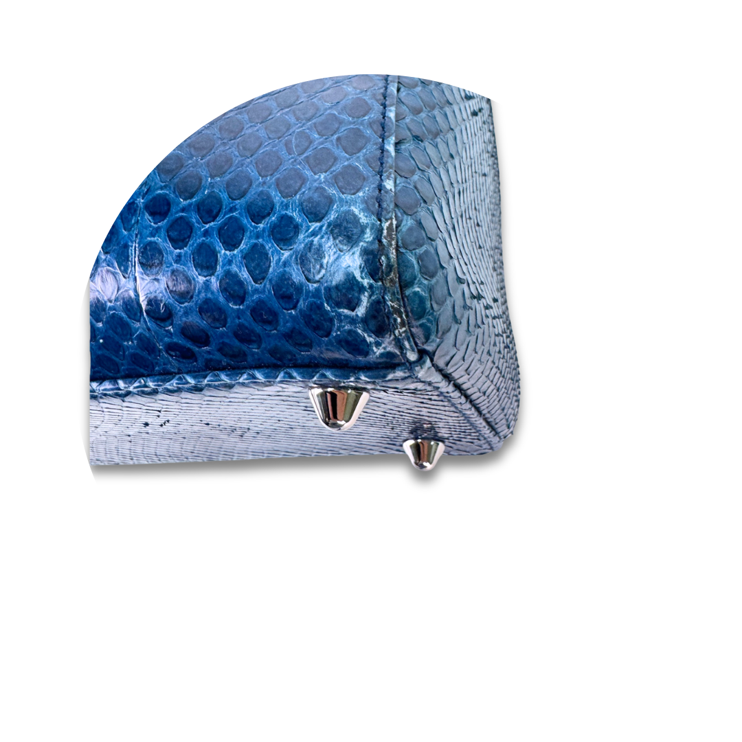 Dior Large Python Lady Dior