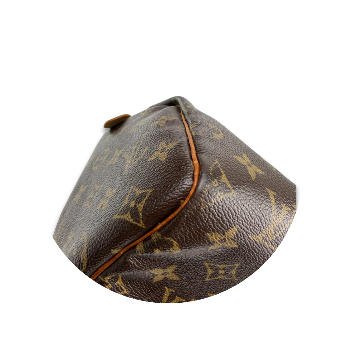 Louis Vuitton Monogram Speedy 25