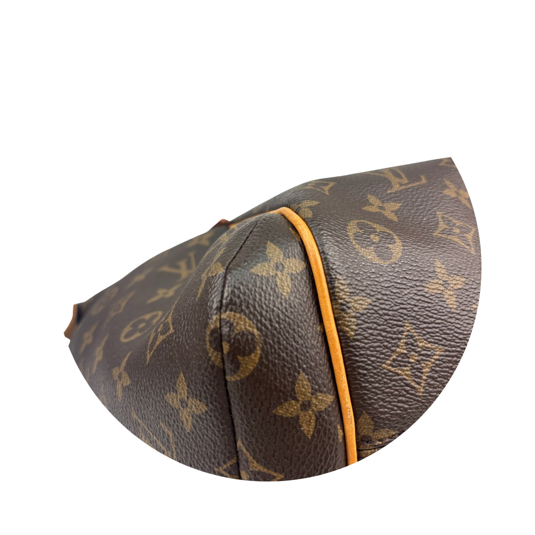 Louis Vuitton Monogram Totally PM