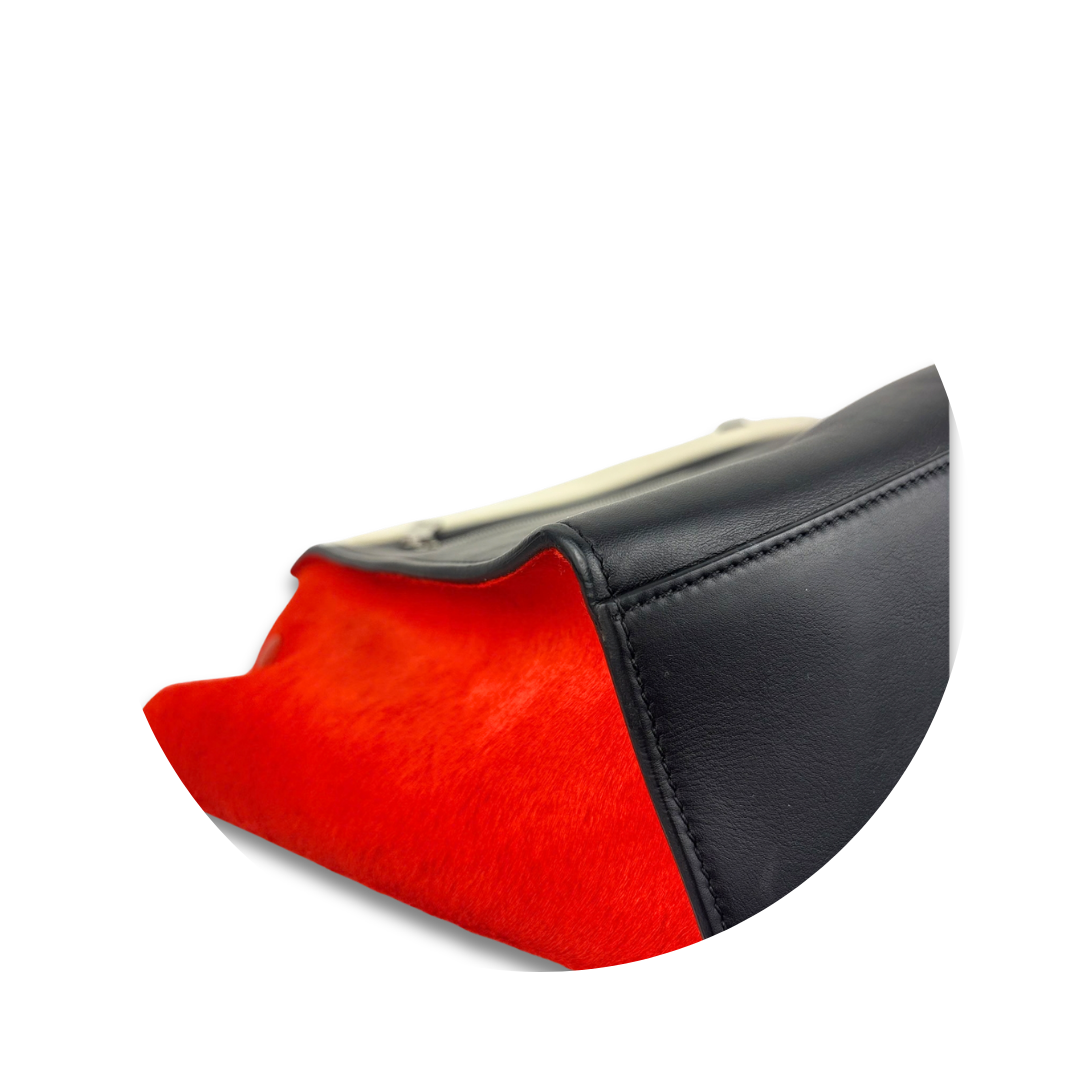 Celine Tricolor Pony Hair Trapeze Bag