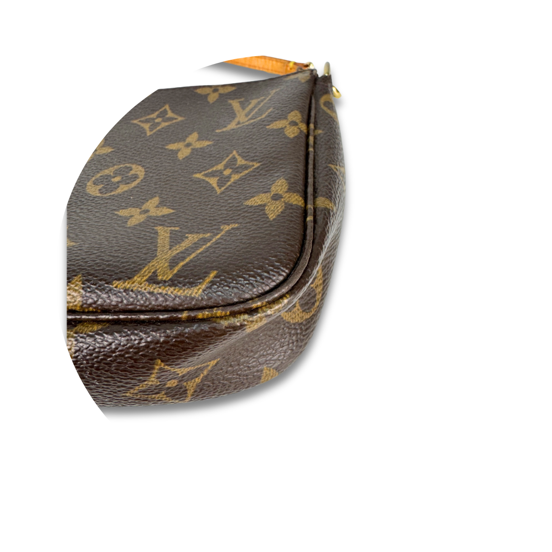 Louis Vuitton Monogram Pochette Accessoires