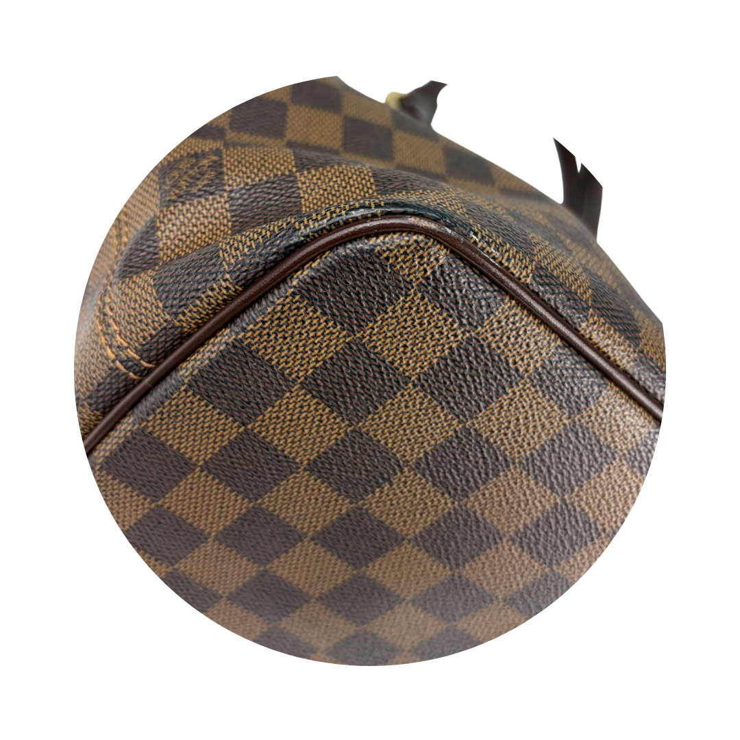 Louis Vuitton Damier Ebene Saleya PM