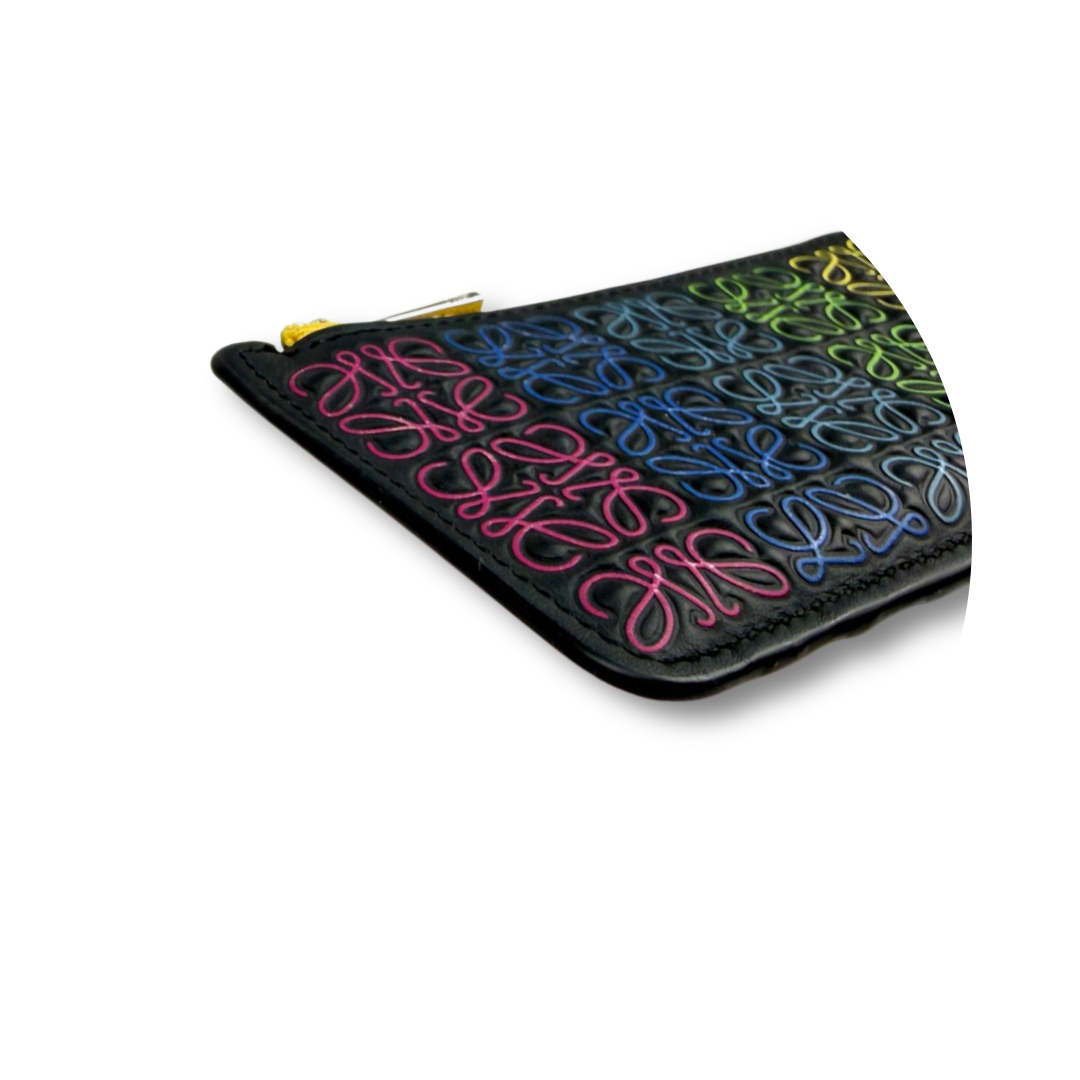 Loewe Multicolor Anagram Card Case