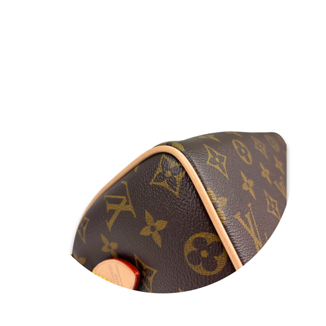Louis Vuitton Monogram Speedy 20 Bandoulière