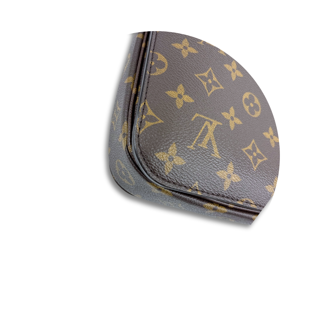 Louis Vuitton Monogram Pochette Métis